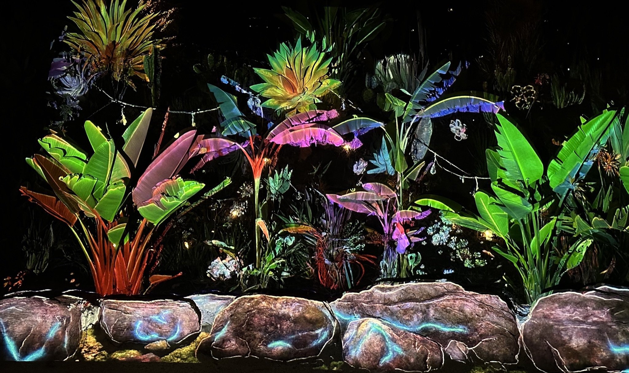 Lush Calabasas hillside landscape featuring more than 1,000 curated plants.